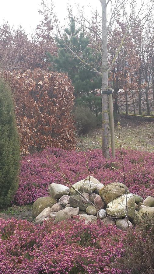 Hotel T Middelkamp Roswinkel Zewnętrze zdjęcie